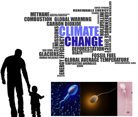 Image_activite - copie