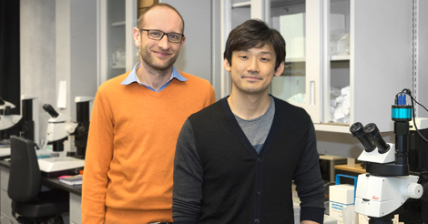 Greg FitzHarris et Shoma Nakagawa
