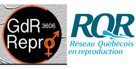 Sans titre