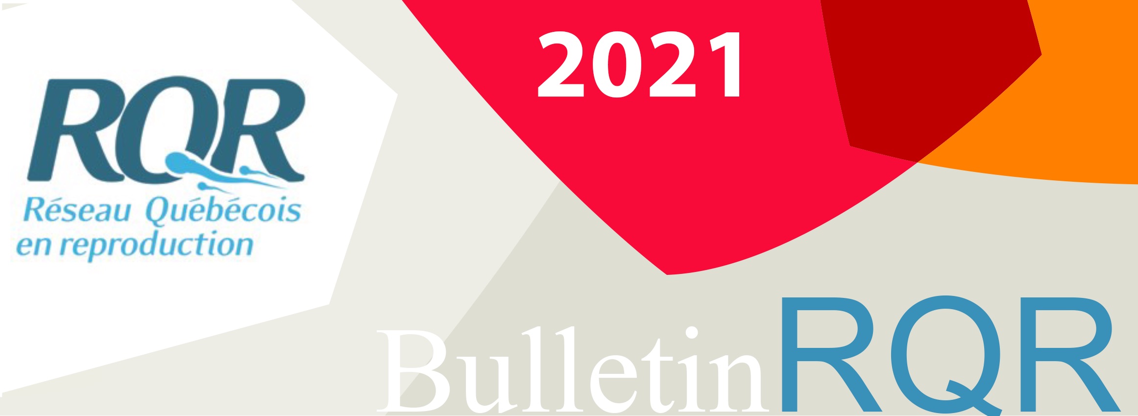 Bandeau bulletin