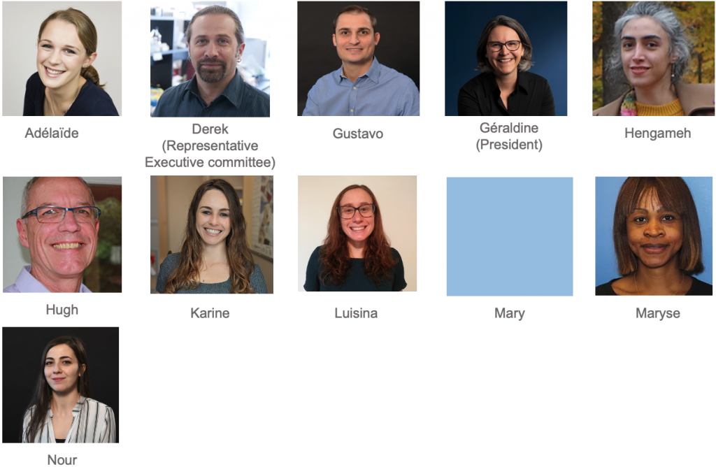 RQR EDI Committee